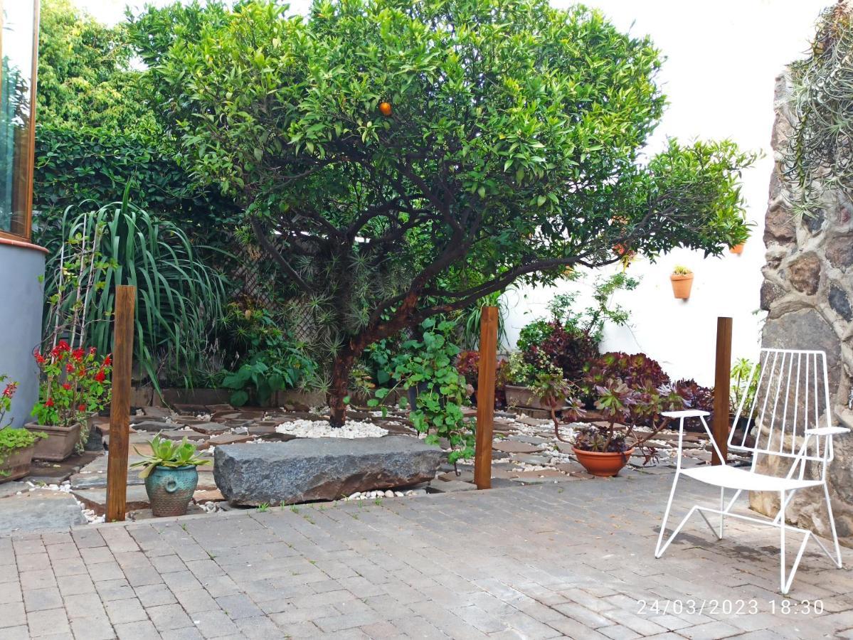 Vila Casa Magali Tacoronte Exteriér fotografie